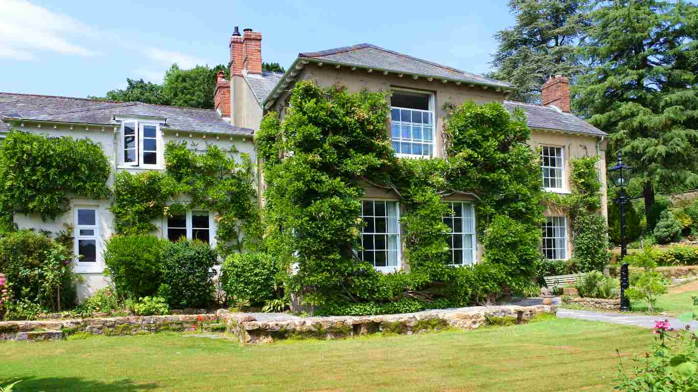 Country house with ivy on the outside