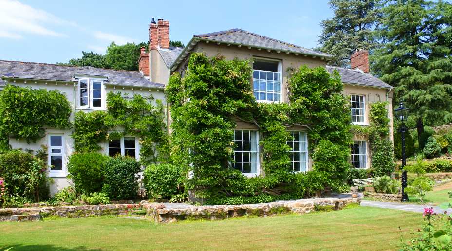 Country house with ivy growing